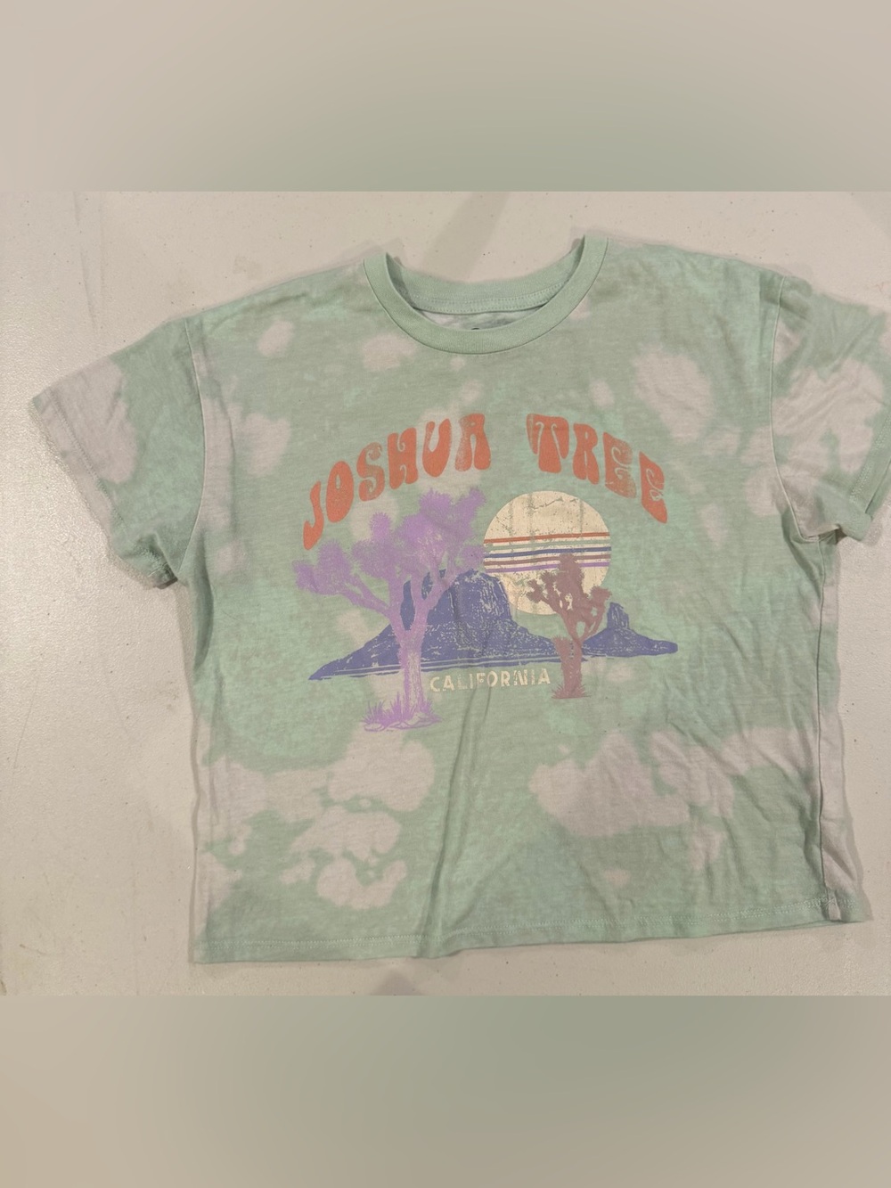 art class Mint Green Joshua Tree Graphic Tee